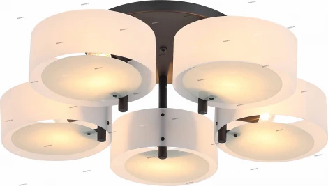 Потолочная люстра ST Luce Foresta SL483.402.05