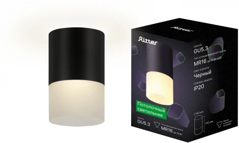 Накладной светильник Ritter Essen 52062 7