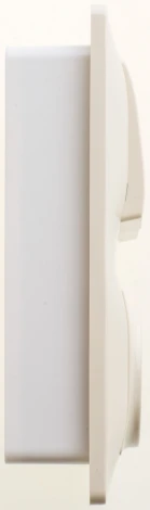 Розетка встраиваемая с заземлением с двухклавишным выключателем (бежевый) Systeme Electric GSL000272