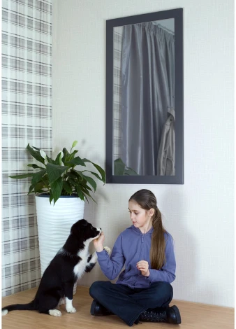 Зеркало настенное BeautyStyle 11 серый графит 118 см х 60,6 см от фабрики Mebelik