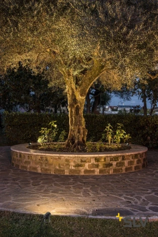 Грунтовый светильник Slv Led Spike 1002201