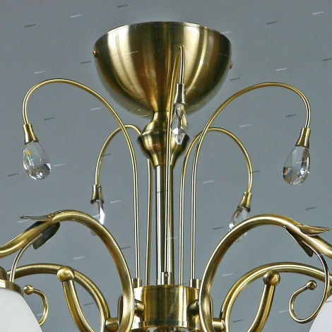 Brizzi Tarragona MA02640C/005 Bronze