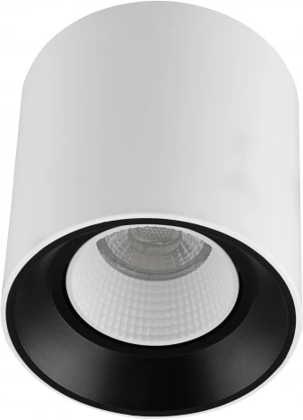 Накладной точечный светильник Denkirs DK3040 DK3090-WB+WH (220V, круглые)