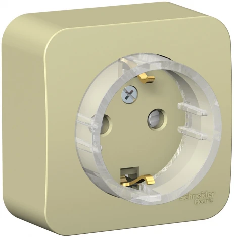 Розетка накладная с заземлением и шторками (бежевый) Systeme Electric Blanca BLNRA111117