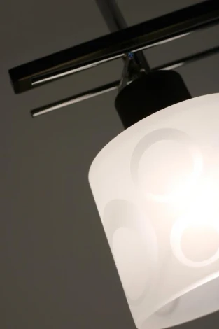 Потолочная люстра Lampex Hiroko 540/1P WEN