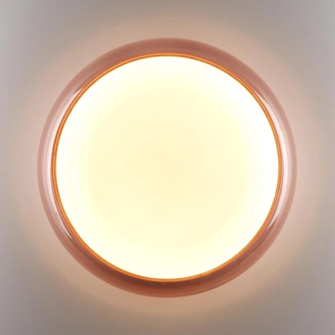 Настенно-потолочный светильник Sonex Portman 7778/ELN пластик/белый/розовый LED 76Вт 3000/4000/6000К (220V, круглые, IP43)