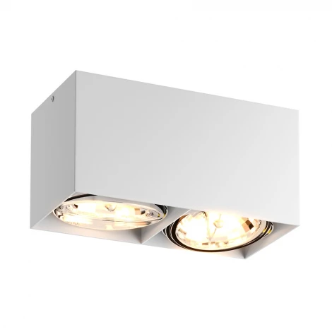 Накладной точечный светильник Zumaline Box Sl 2 89949-G9