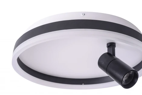 Потолочный светильник круглый со спотом Zortes Raizy ZRS.1888.03 (LED, 220V, круглые)