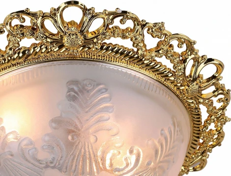 Потолочный светильник Arte Lamp Piatti A8002PL-2GO