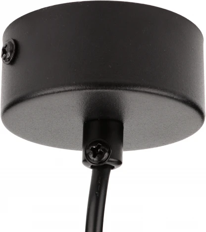 Подвесной светильник Ritter Arton 59985 2