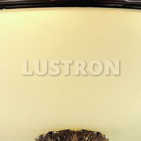 Потолочный светильник Odeon Light Sagitta 2669/4C