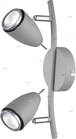 Спот на штанге Arte Lamp Regista A1966AP-2GY (220V, круглые)