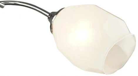 Потолочная люстра Wedo Light Totgnir 66653.01.03.03