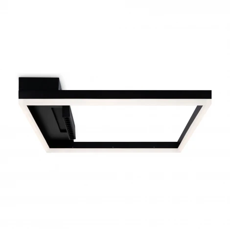 Потолочный светильник Freya Frame FR6084CL-L82B