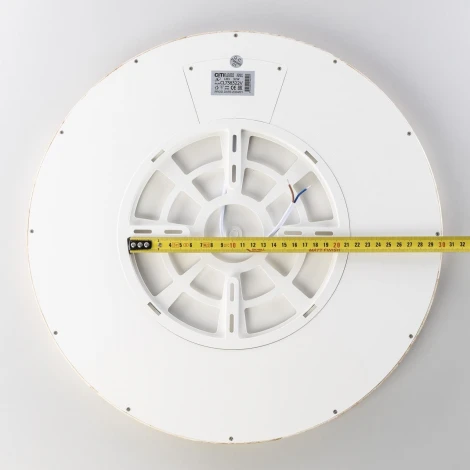 Настенно-потолочный светильник Citilux Бейсик CL738322V (регулировка яркости, LED, 220V, круглые, IP40)