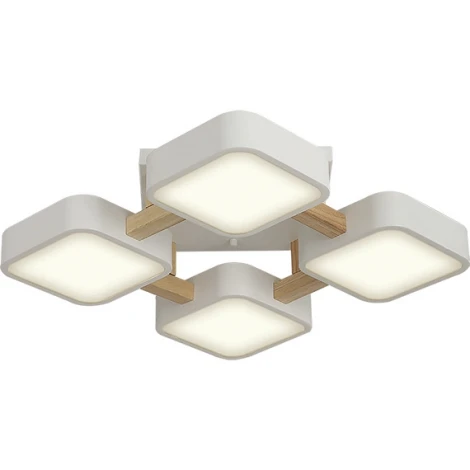 Потолочный светодиодный светильник Ritter Scandia 52072 6
