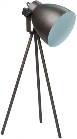 Интерьерная настольная лампа MW-Light Хоф 497032501