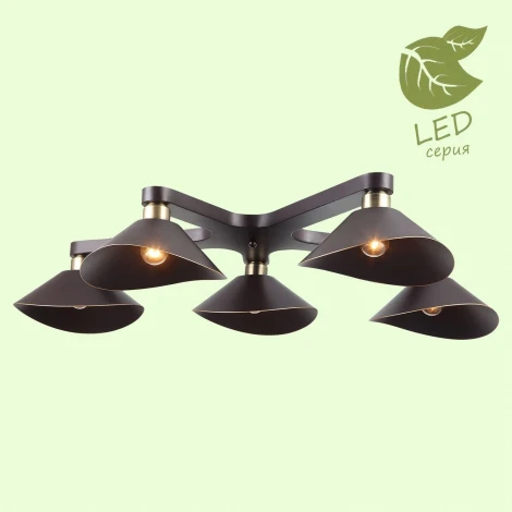 Потолочная люстра Lussole Loft Opelika GRLSP-9535 (220V, IP21)