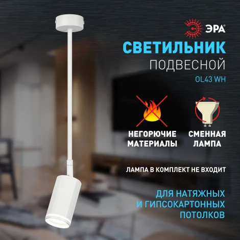 Спот на штанге ЭРА OL43 WH (220V)