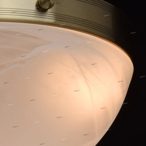 Потолочная люстра MW-Light Ариадна 450016203