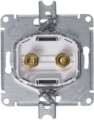 Акустическая розетка встраиваемая двойная (алюминий) Systeme Electric AtlasDesign ATN000387