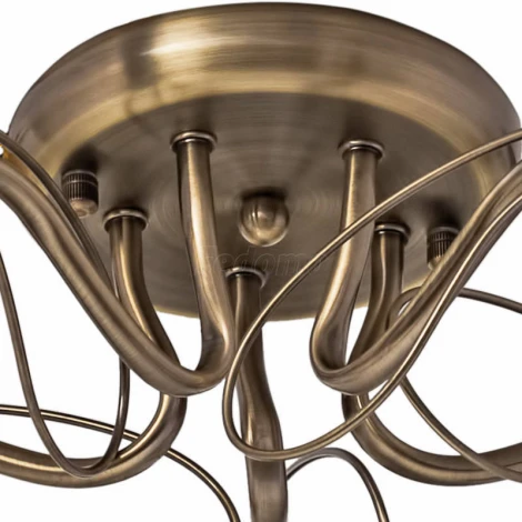 Потолочная люстра Silver Light Azalea 504.53.5