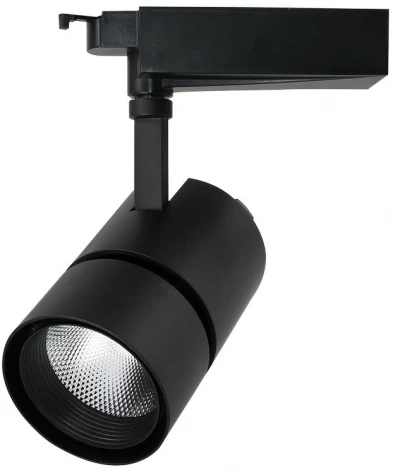Трековый светильник Arte Lamp Track Lights A2450PL-1BK