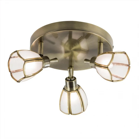 Спот Citilux Альтен CL522531