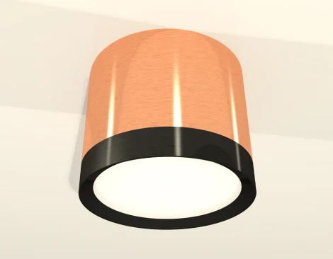 Накладной точечный светильник Ambrella Techno Spot XS8122001 (круглые)