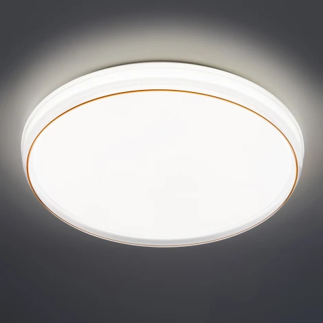 Потолочный светильник круглый светодиодный с пультом регулировкой цветовой температуры и яркости ЭРА SPB-6-80-RC Solar RGBD (220V, круглые)