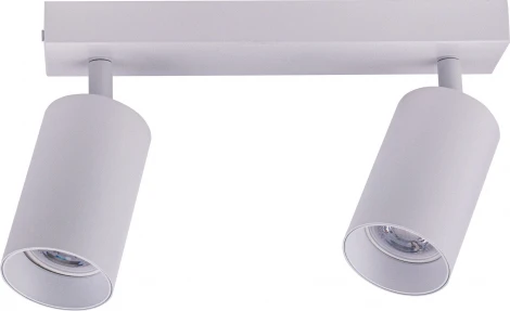 Потолочный светильник спот Brizzi Aras BR08083