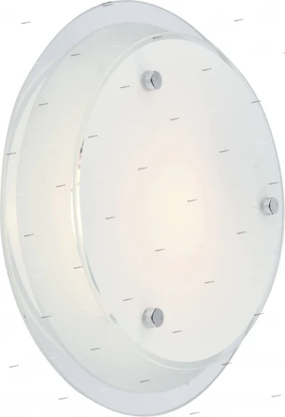 Потолочный светильник круглый Arte Lamp Rapunzel A4867PL-1CC (220V)