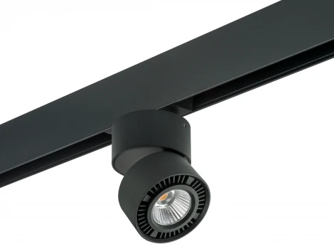 Трековый светильник однофазный 220V Lightstar Forte Muro PRO213817 (круглые)