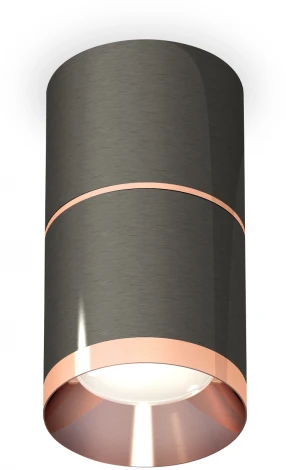 Накладной точечный светильник Ambrella Techno Spot XS7403101 (220V, круглые)