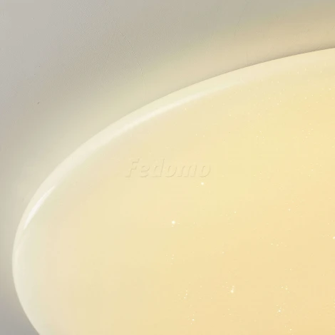 Потолочный светильник F-Promo Luna 2319-10C