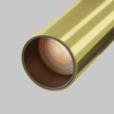 Встраиваемый светильник Maytoni Focus Led C053CL-L12W2.7K-W-BS (220V, круглые)