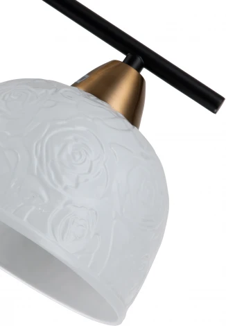 Подвесной светильник Attimo V000154 (10005/1P Black) (220V, на проводе)