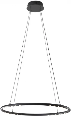 Подвесной светильник диммируемый Kink Light Магни 08557-60,19 черный 24W с пультом ДУ (LED, 220V, на тросе, кольцо)