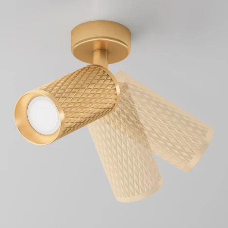 Потолочный светильник Focus Design GU10 1x50Вт Maytoni Technical C034CL-01G (220V, круглые)