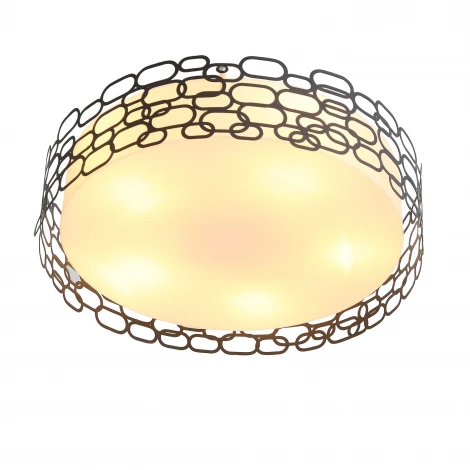 Потолочный светильник ST Luce Ciatura SL304.402.05