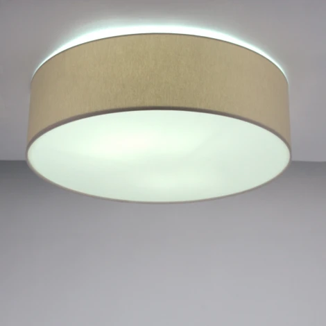 Потолочный светильник круглый Lighthall Camerona 65 LH022006 (круглые)