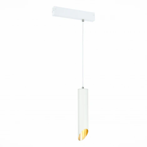 Трековый светильник однофазный 220V Skyline 220 ST508.503.01 ST Luce (круглые)