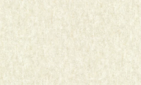 Обои виниловые Grandeco Universe 2023 US 1009 10,05 x 1,06 м