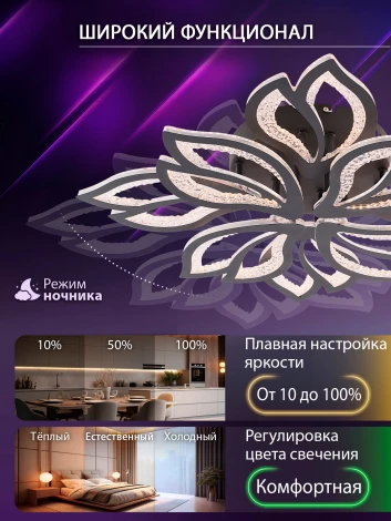 Потолочная люстра светодиодная с пультом ДУ 176W, черный, LED Natali Kovaltseva Fortuna LED LAMPS 81107/7C