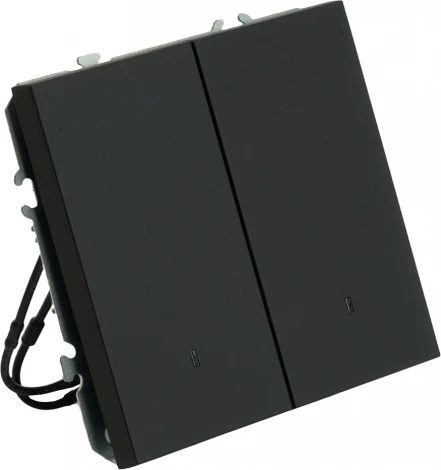 Выключатель двухклавишный с подсветкой (черный) Stekker Эмили 49838