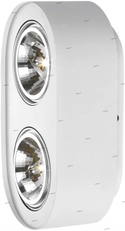 Потолочный светильник Arte Lamp Cliff A5643PL-2WH
