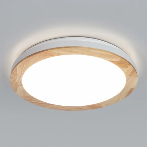 Потолочный светильник Arte Lamp Luce A2685PL-72WH