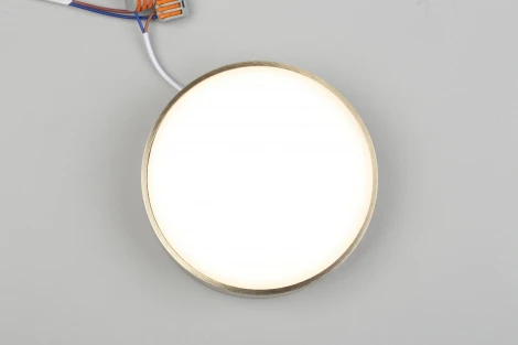 Потолочный светильник круглый Aployt Evon APL.0113.29.18 (LED, 220V, круглые)