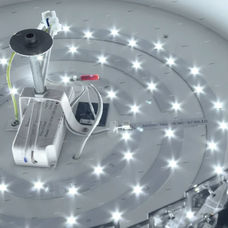 Collezioni Alaska NC 54131/8R old