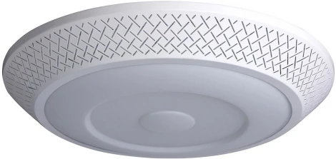 Потолочный светильник DeMarkt Ривз 674010201